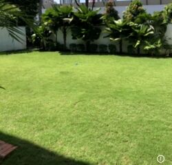 Faber Hills (D5), Semi-Detached #571385681